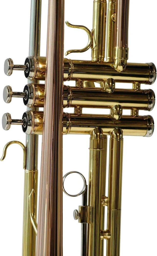Symphonie Westerwald® trimitas, perinet trimitas, koncertinis trimitas, auksinis žalvaris su monel ventiliais, įskaitant prabangų kietą dėklą ir priedus