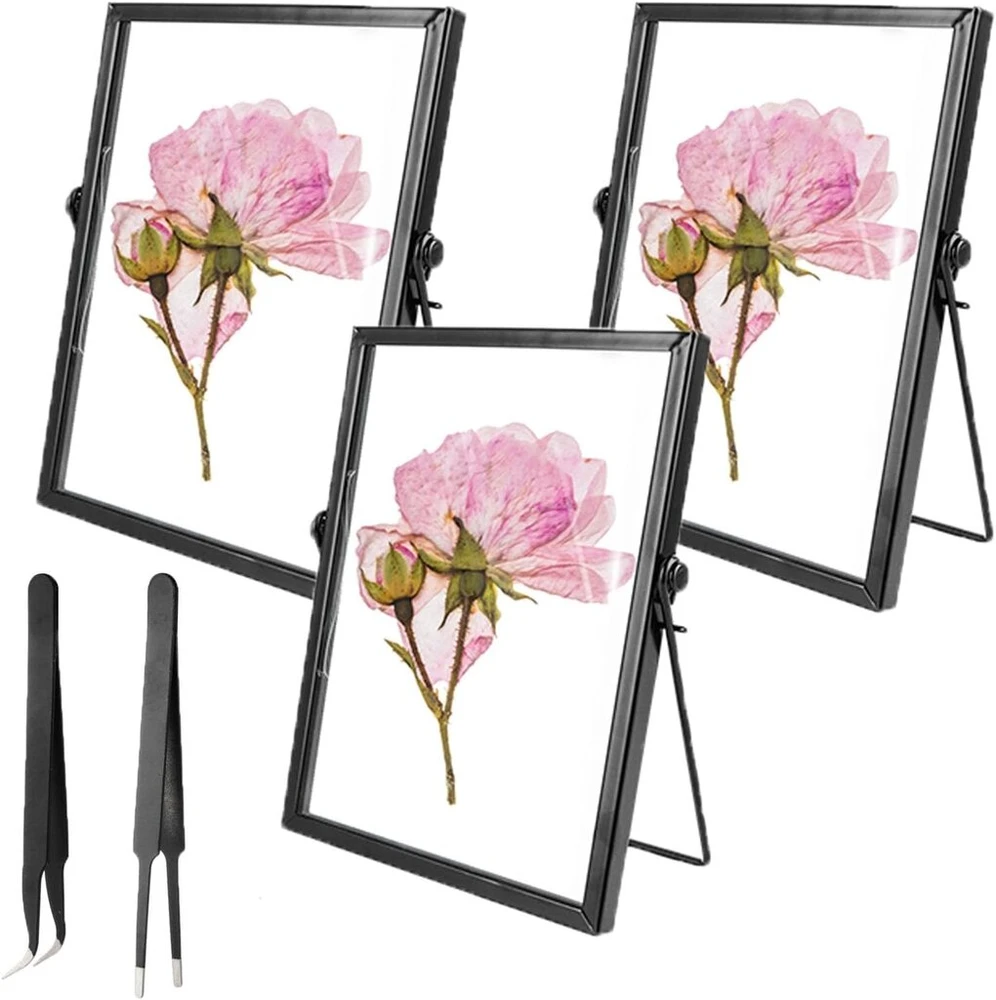 Videtol 3 stiklinių nuotraukų rėmelių rinkinys, pastatomas, 15 x 20 cm nuotraukų rėmelis, dvigubas stiklas, juodo stiklo nuotraukų rėmelis augalų pavyzdžių meno kūriniams, stalo dekoras ir nuotraukų laikiklis