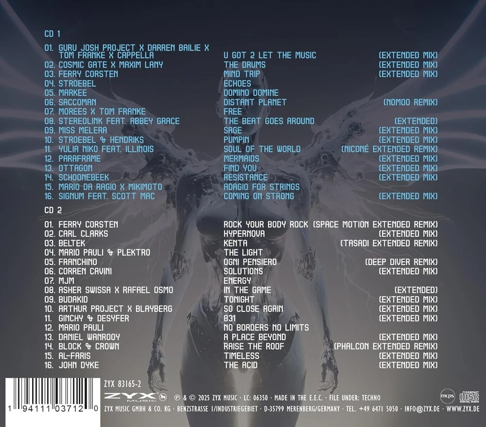 Vinilinė plokštelė Melodic Techno 2025