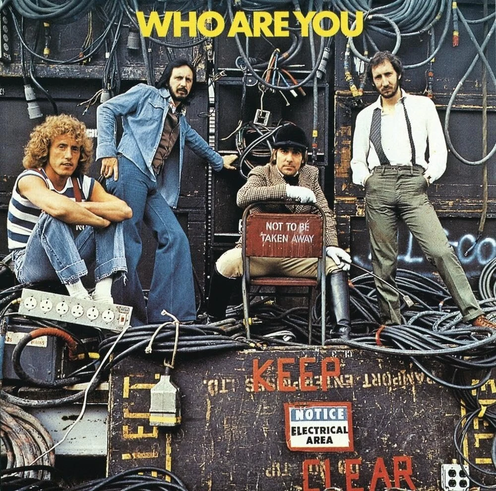 Vinilinė plokštelė Who Are You