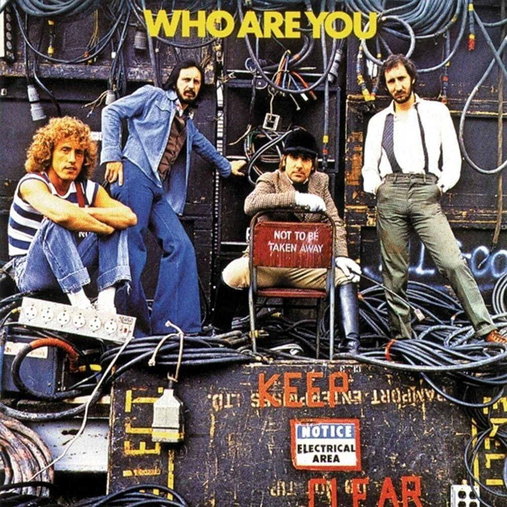 Vinilinė plokštelė Who Are You