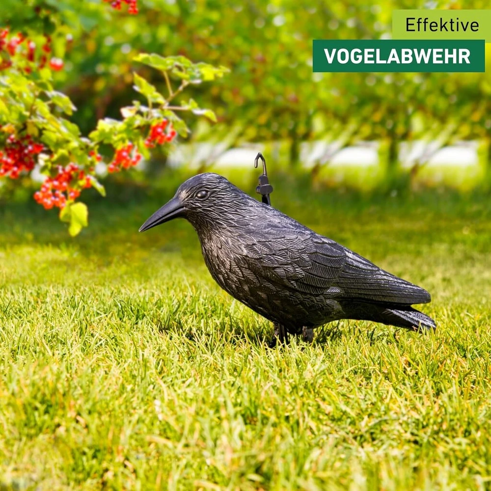 Windhager sodo figūrėlė varnas, balandžių atbaidymo priemonė ir baidyklė iš plastiko, kenkėjų kontrolė, apsauga nuo erzinančių paukščių, varna, balandžių baidyklė, 37 cm, 07117, juoda