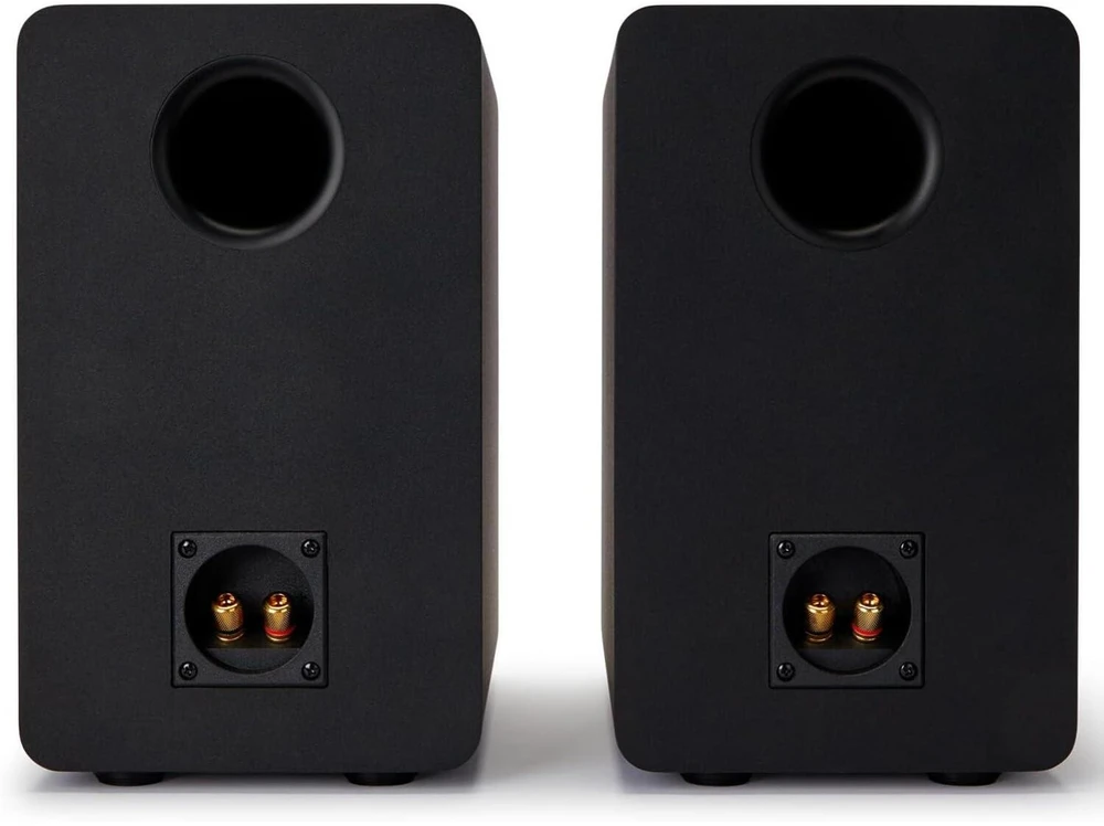 Kompiuterio kolonėlės Aiwa garsiakalbis HI-FI AIWA SP-A100 2x70 W RMS