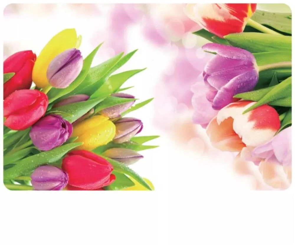 Tulip Asi Collection Galda paliktnis 43 5x28cm tulpe