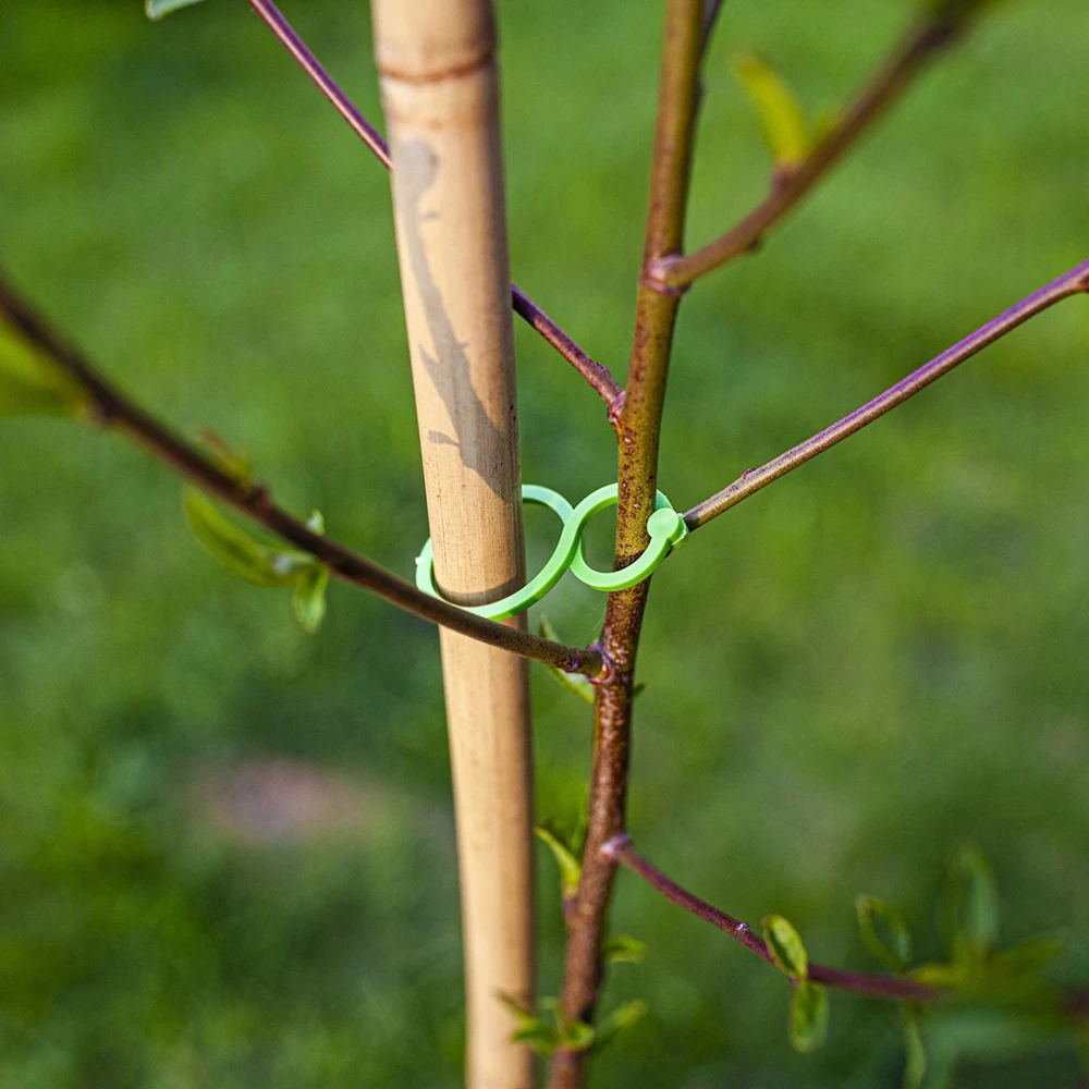 Bioogrod 721201, plastmasiniai augalų segtukai, 50 vnt., 17g, spiralės ir aštuonetuko formos