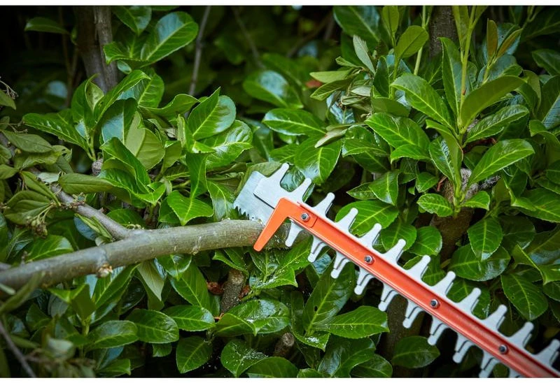 Black & Decker Juodas & Decker Akumuliatorinė gyvatvorių žirklės 55 cm, 36 V, Power Command, Juodas & Decker [BCHTS3625L1-QW] 2,5Ah