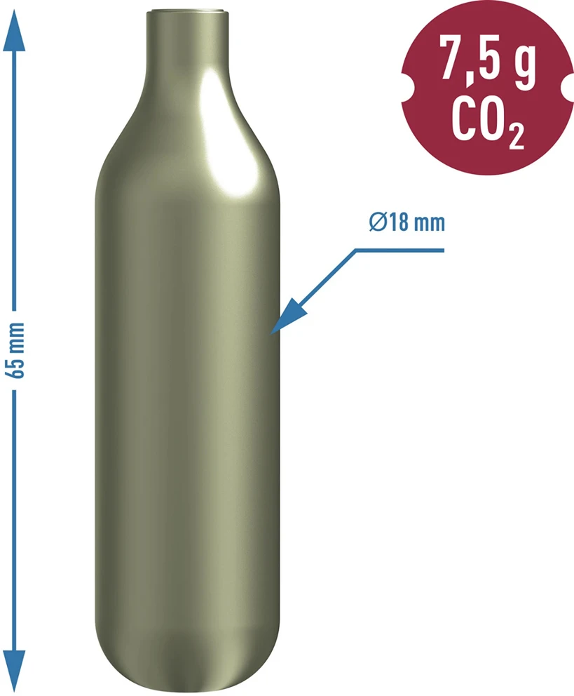 Kayser Co2 balionėliai saturatoriui, 10 vnt.