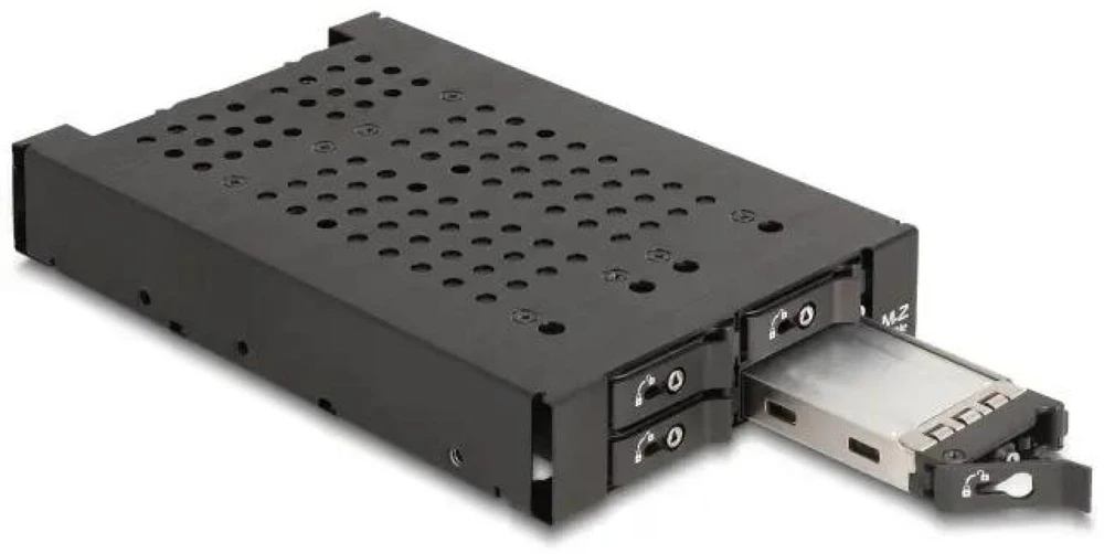 Delock 3.5? Wechselrahmen für 4 x M.2 NVMe SSD