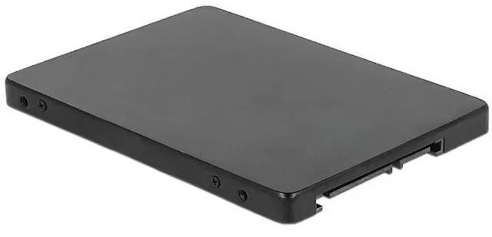 DELOCK 2.5 Converter SATA 22 Pin > M.2 NGFF su korpusu