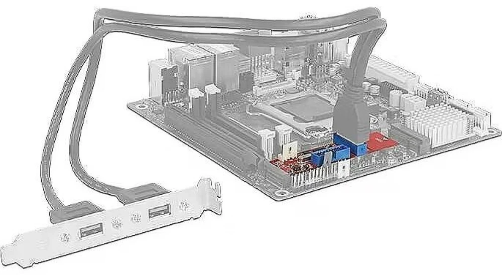 Kontroler Delock (62843)