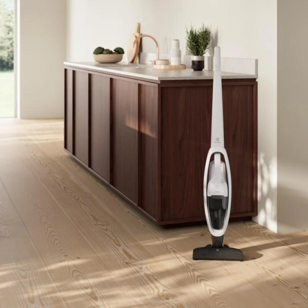 Dulkių siurblys Electrolux ES31CB18SH