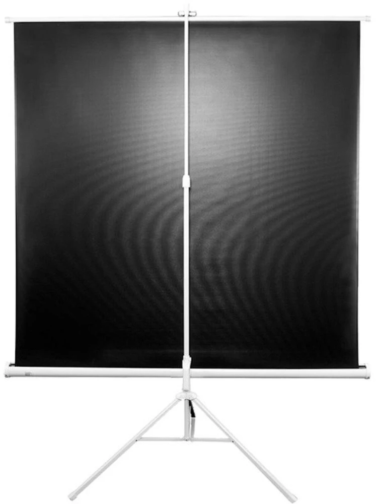Elite Screens | su stovu Series | T99NWS1 | Įstrižainė 99" | 1:1 | Matomo vaizdo plotis (W) 178 cm | Baltas