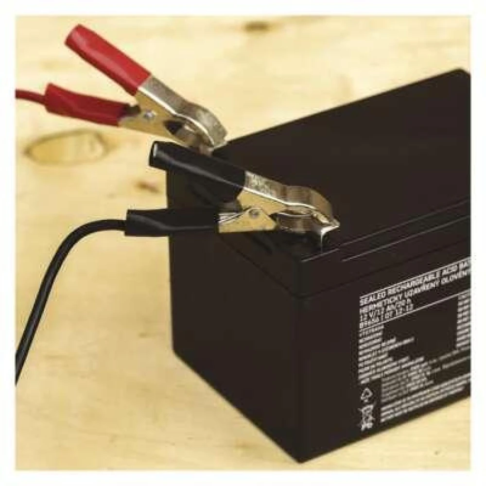 Emos Maintenance-free 12 V/40 Ah M6 lead-acid battery