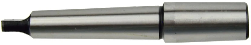 Geko Valrusų perėja MS2-B22 (G00574)