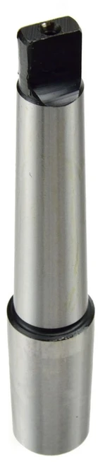 Geko Valrusų perėja MS2-B22 (G00574)