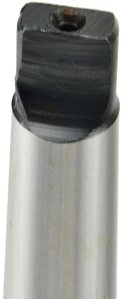 Geko Valrusų perėja MS2-B22 (G00574)