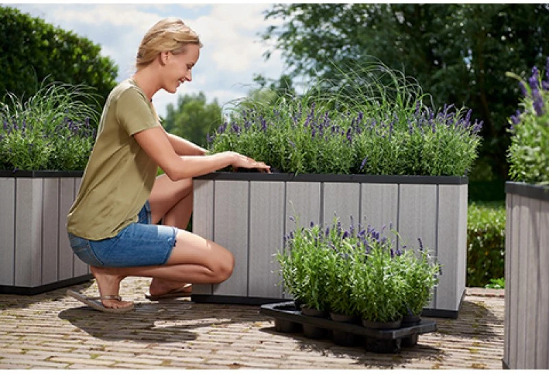 Keter Vazonas Sequoia Duotech Medium Planter