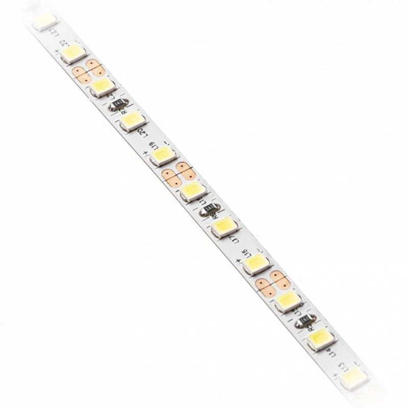 GTV Blykstės 2835, 600 LED šiltai baltos spalvos, 60W, be gelio, 10 mm, ritinys 5 m, 12 V (2 k