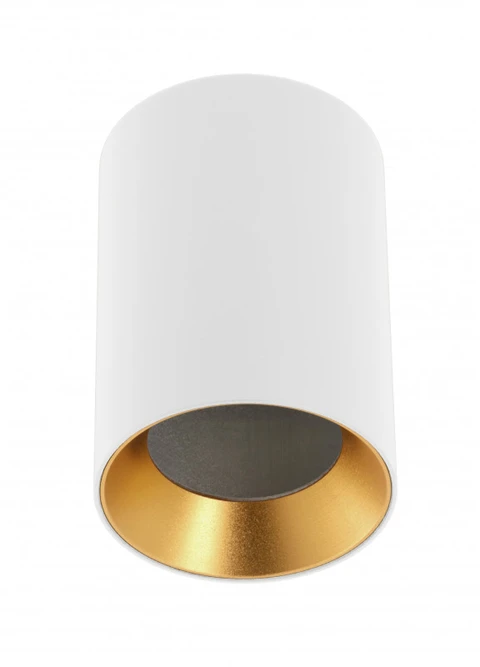 Lubinis šviestuvas GTV Ceiling fixture AERO II, IP20, round, baltas