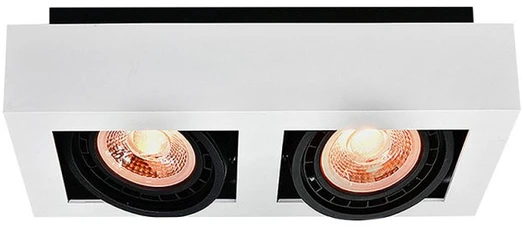 GTV Lubinis šviestuvas Loid, 4663,AC220-240V, 50/60 Hz, IP 20,2* GU10, ES111double, baltas