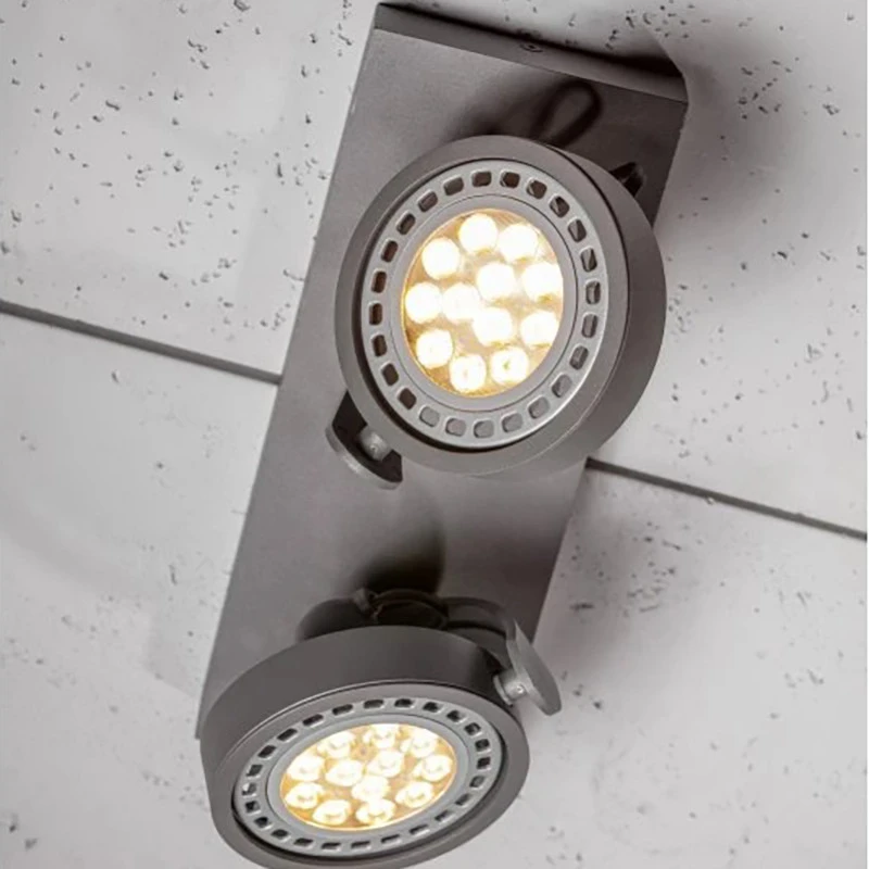 GTV Lubinis šviestuvas Wally,4304,AC220-240V, 50/60 Hz, IP 20,2*Gu10,ES111, dvigubas, grafitin