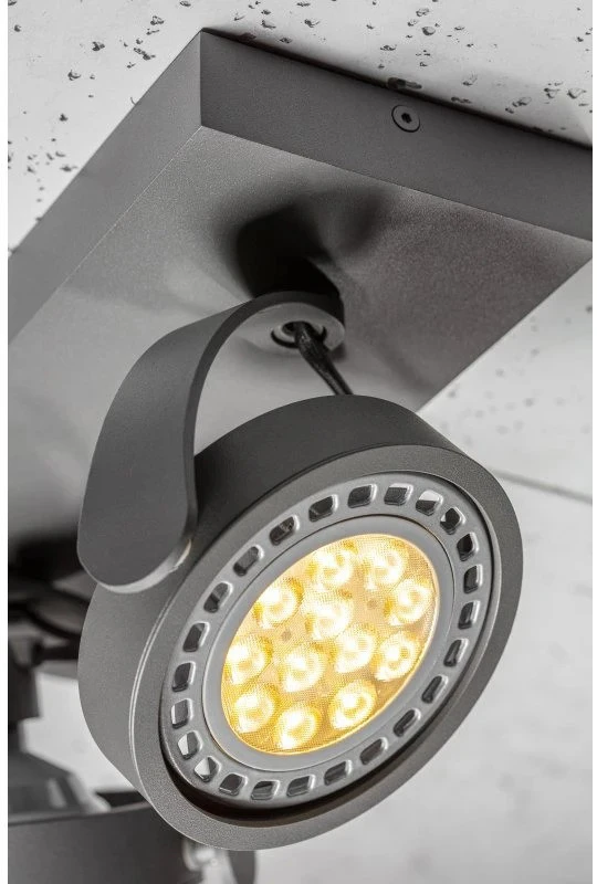 GTV Lubinis šviestuvas Wally,4304,AC220-240V, 50/60 Hz, IP 20,2*Gu10,ES111, dvigubas, grafitin