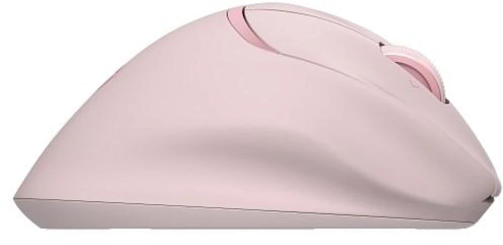 Hewlett Packard (HP) HP Tilt Ergo PNK MSE 720M EMEA-INTL EN L pelė dešinei rankai RF belaidė + Bluetooth 6000 DPI