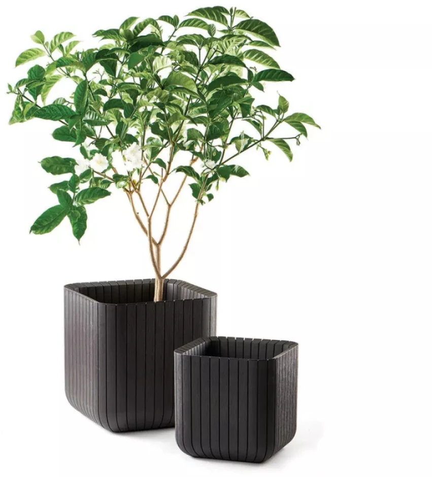 Keter Curver Cube Planter L Ruda (229533)