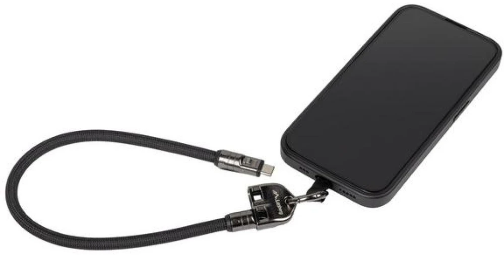 Lanberg CA-CMCM-10LN-0003-BK USB cable USB 2.0 0.3 m USB C Juodas