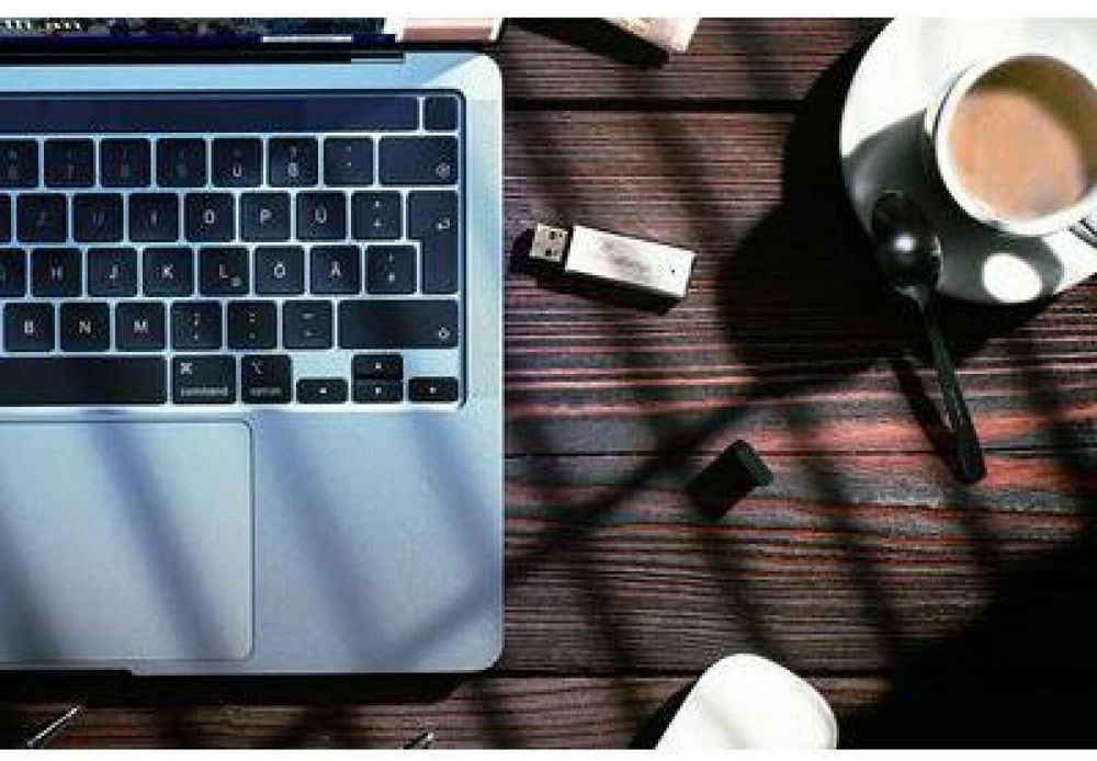 Pendrive MediaRange MR1903, 256GB