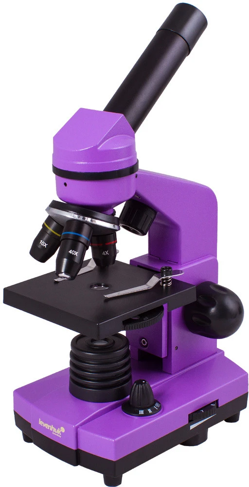 Mikroskopas Levenhuk Rainbow 2L Amethyst 40x - 400x su eksperimento komplektu K50