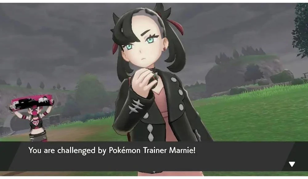 Nintendo Pokmon Schwert, Nintendo Switch-Spiel