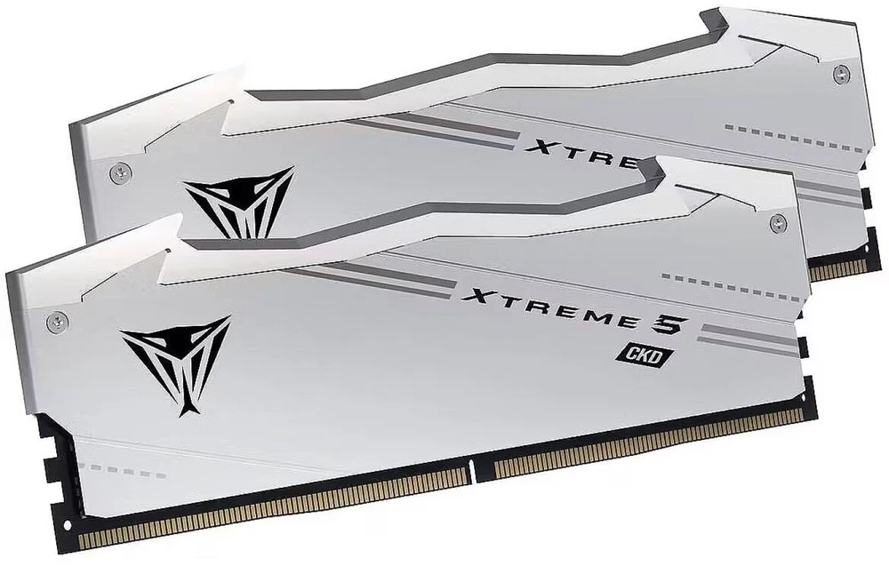 RAM Patriot Viper Xtreme 5 CKD 48GB (2x 24GB) 9600MHz sidabrinė