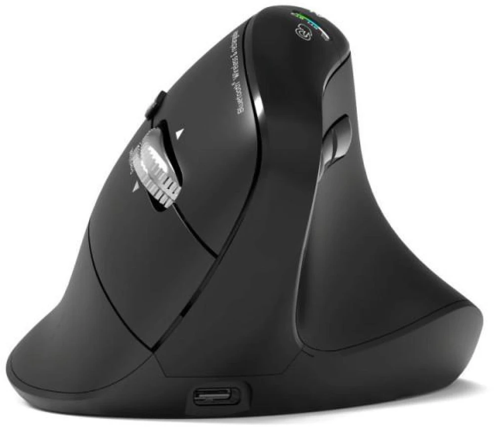 PORT CONNECT ERGO AUDITOR, ergonomiška „Bluetooth“ ir 2,4 GHz belaidė įkraunama pelė, USB-C, Juodas