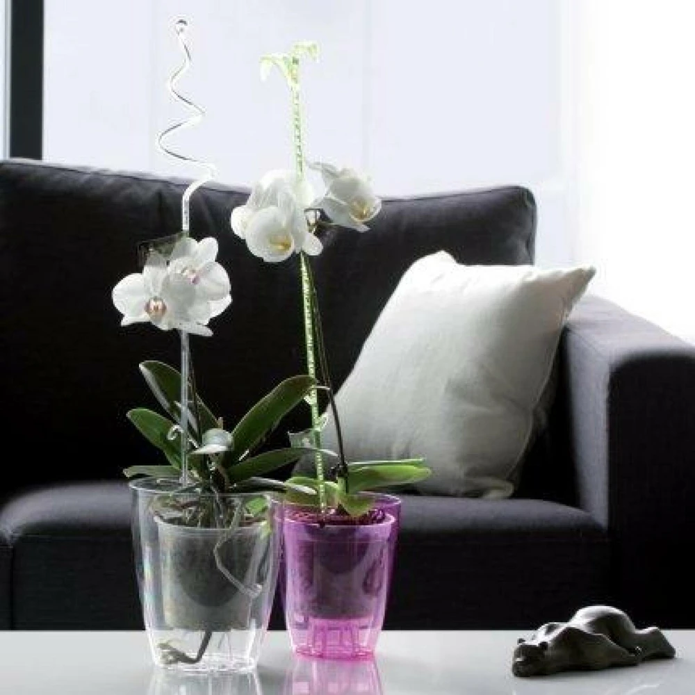 „Prosperplast Vazonas“ orchidėjoms „COUBI Transparen“