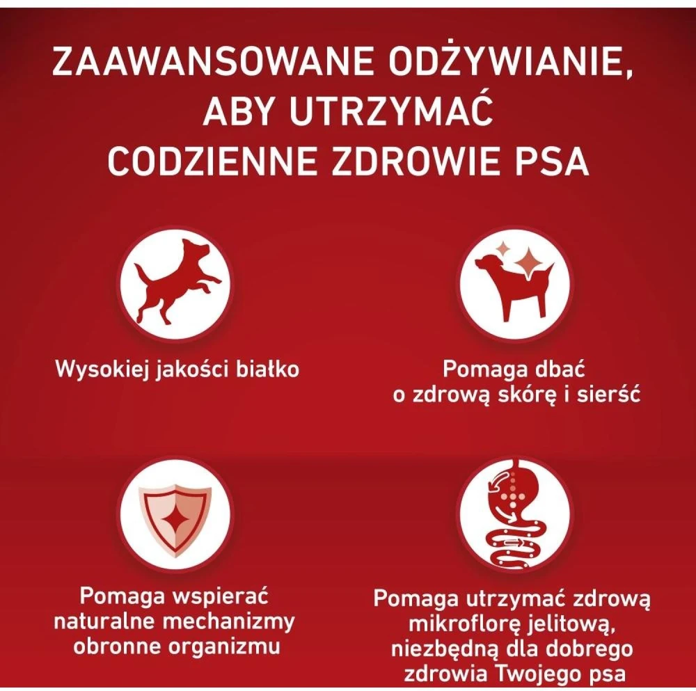 Purina Nestle ONE Medium/Maxi Adult vištiena & ryžiai 12kg