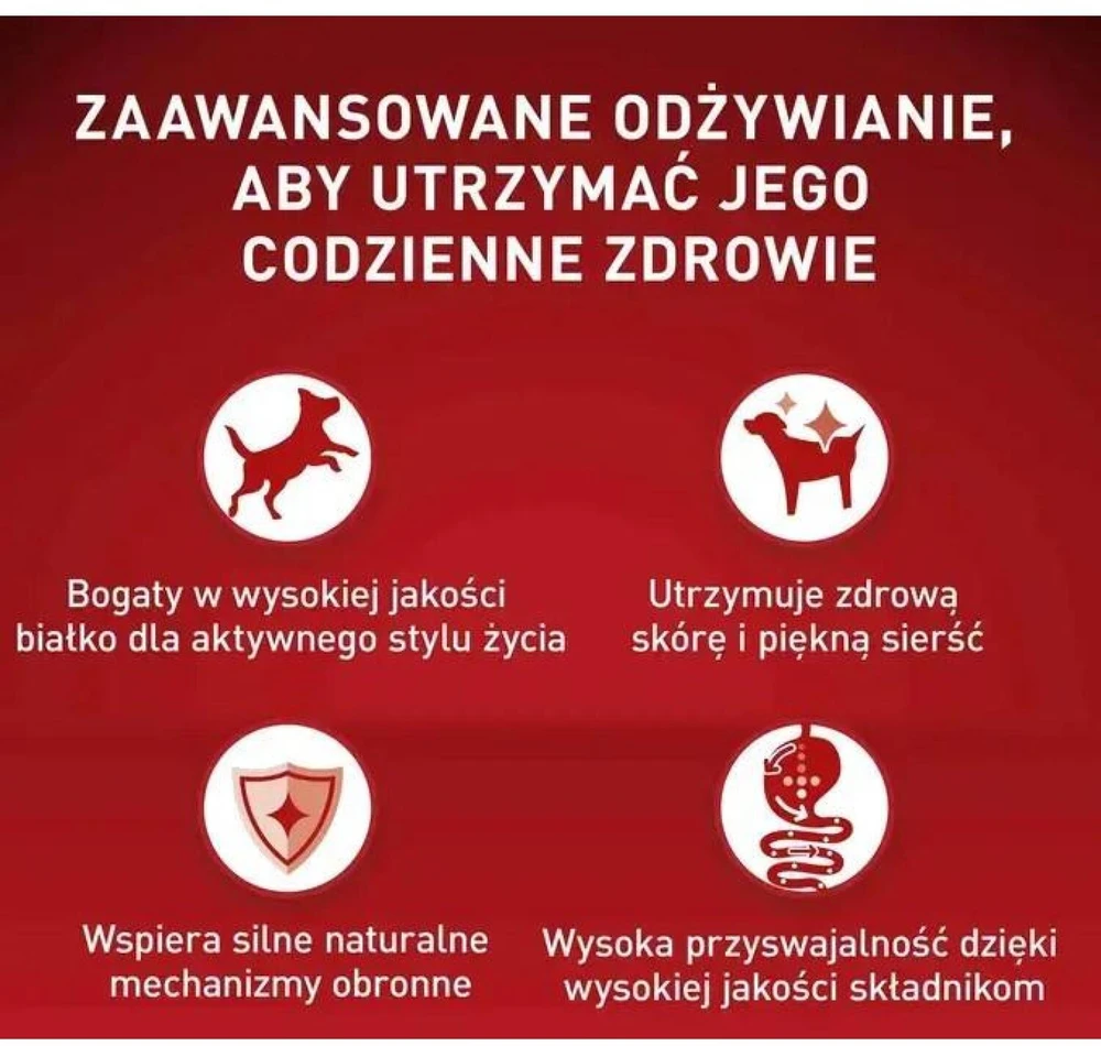 Purina Nestle Drėgnas Šunų Maistas - PURINA One Mini/Small Active Su Jautiena 85g