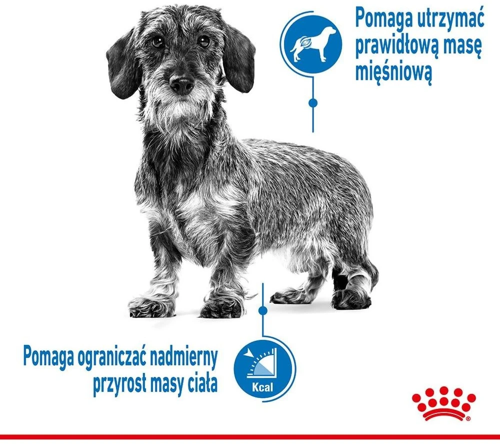 Royal Canin Mini Light Weight Care sausas maistas suaugusiems šunims, mažoms veislems su tendencją antsvoriui 3kg
