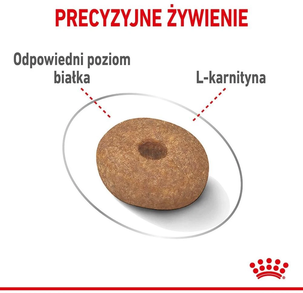 Royal Canin Mini Light Weight Care sausas maistas suaugusiems šunims, mažoms veislems su tendencją antsvoriui 3kg