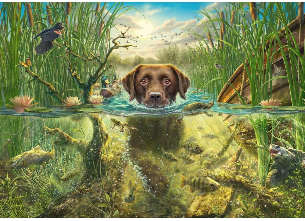 Schmidt Spiele Dėlionė 58572, 1000 vnt., 69.3x49.3 cm, Dog Love, Rudas labradoras, Įvairiaspalvė, Kartonas, Nuo 12 m.