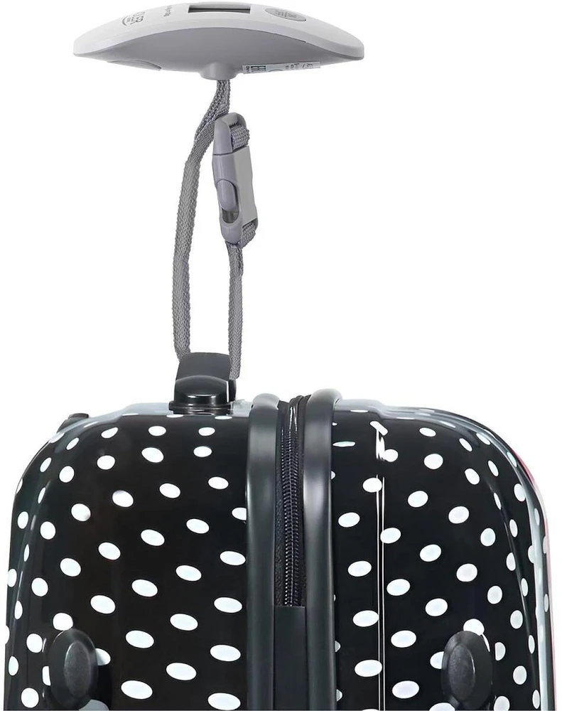 Žuvies kepimo indas Severin ZB 8189, 50 cm, juodos ir sidabro spalvos