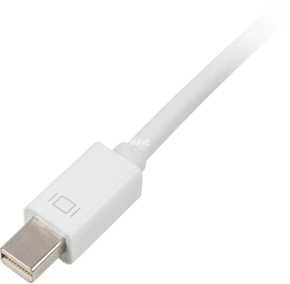 AV adapteris Sharkoon DisplayPort Mini – DVI-D, baltas (4044951017386)