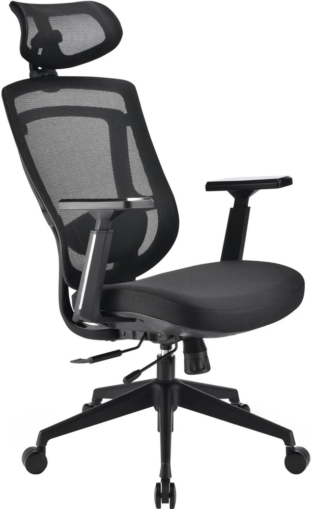 Sharkoon biuro kėdė OfficePal C20 (juoda)