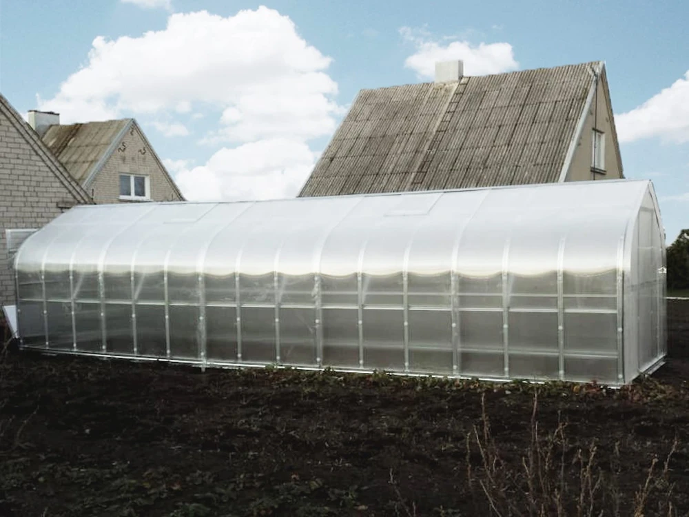 Meistro Kodas Šiltnamis STANDART*KLASIKA 20 m2/4mm. danga(2,5x8m), 4 stoglangiai