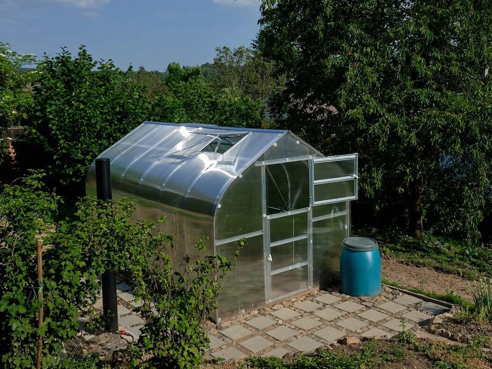 Meistro Kodas Šiltnamis STANDART*KLASIKA 20 m2/4mm. danga(2,5x8m), 4 stoglangiai