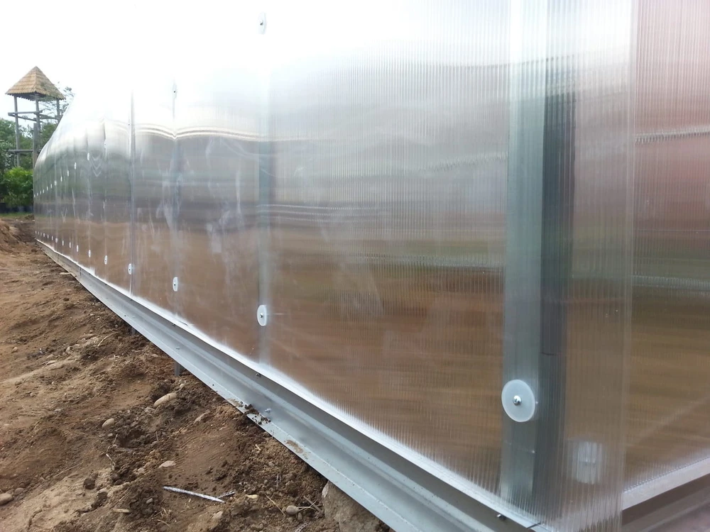 Meistro Kodas Šiltnamis STANDART*KLASIKA 20 m2/4mm. danga(2,5x8m), 4 stoglangiai