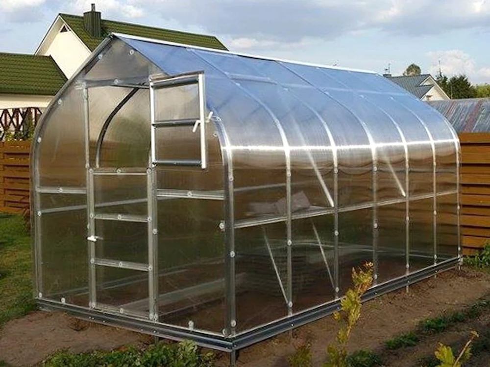 Meistro Kodas Šiltnamis STANDART*KLASIKA 20 m2/4mm. danga(2,5x8m), 4 stoglangiai