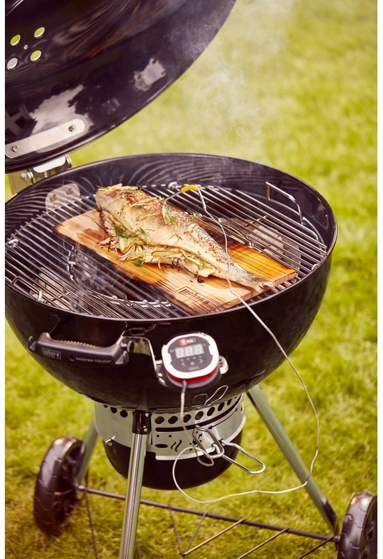 Laikiklis termometrui WEBER iGrill, Ø 47.Ø 57,Ø 67 cm griliams