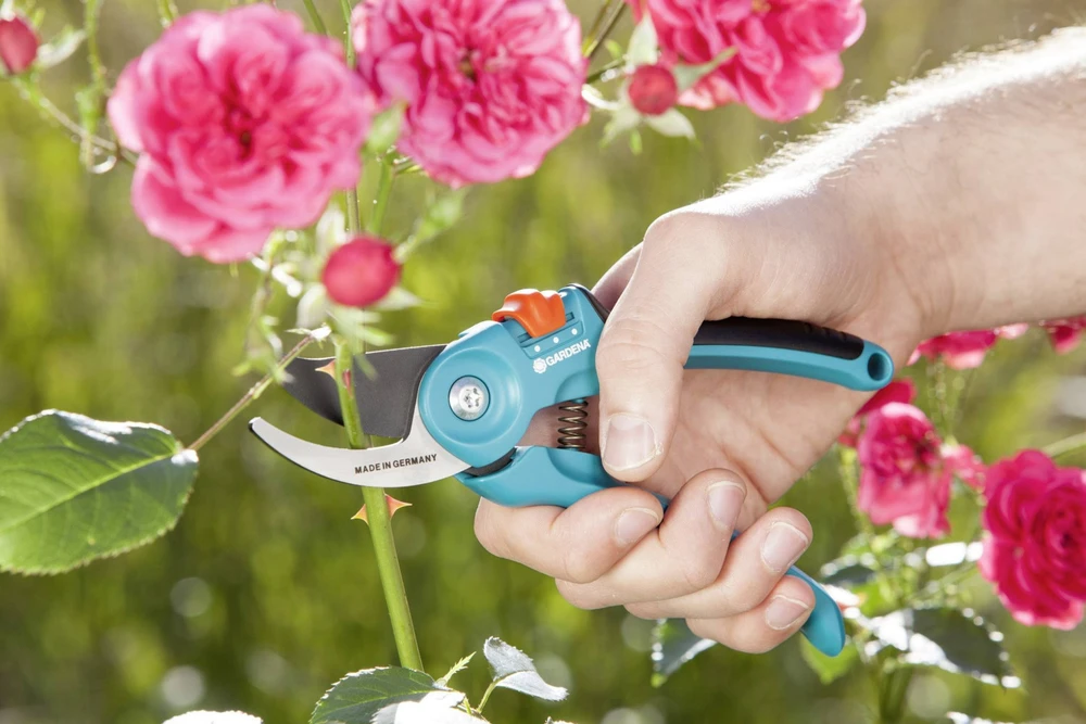 Sodo sekatorius Gardena B/S-M 8857-20 (967048001)