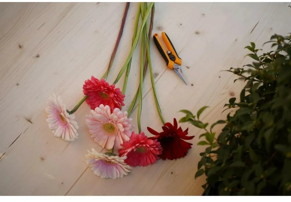 STIGA Baumschere Manuelles Gartenwerkzeug